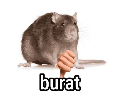 burat twitter